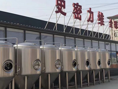 汉中精酿啤酒设备厂—如何判断精酿啤酒设备的密封件需要更换?